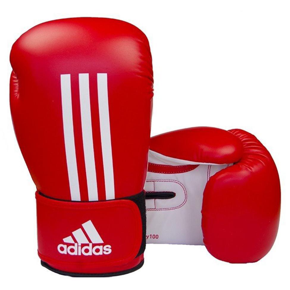 Energy 100 Boxing Gloves