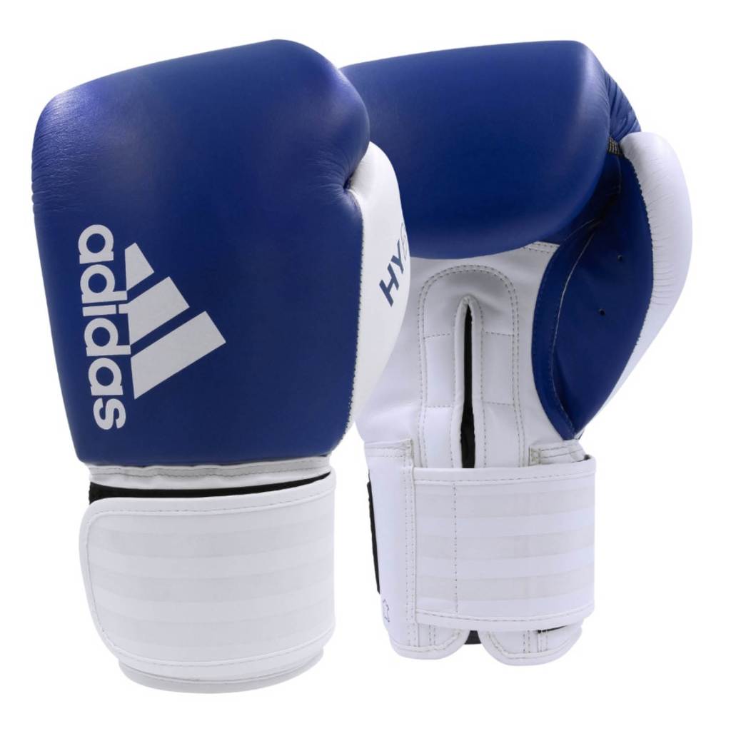 Hybrid 200 Boxing Gloves